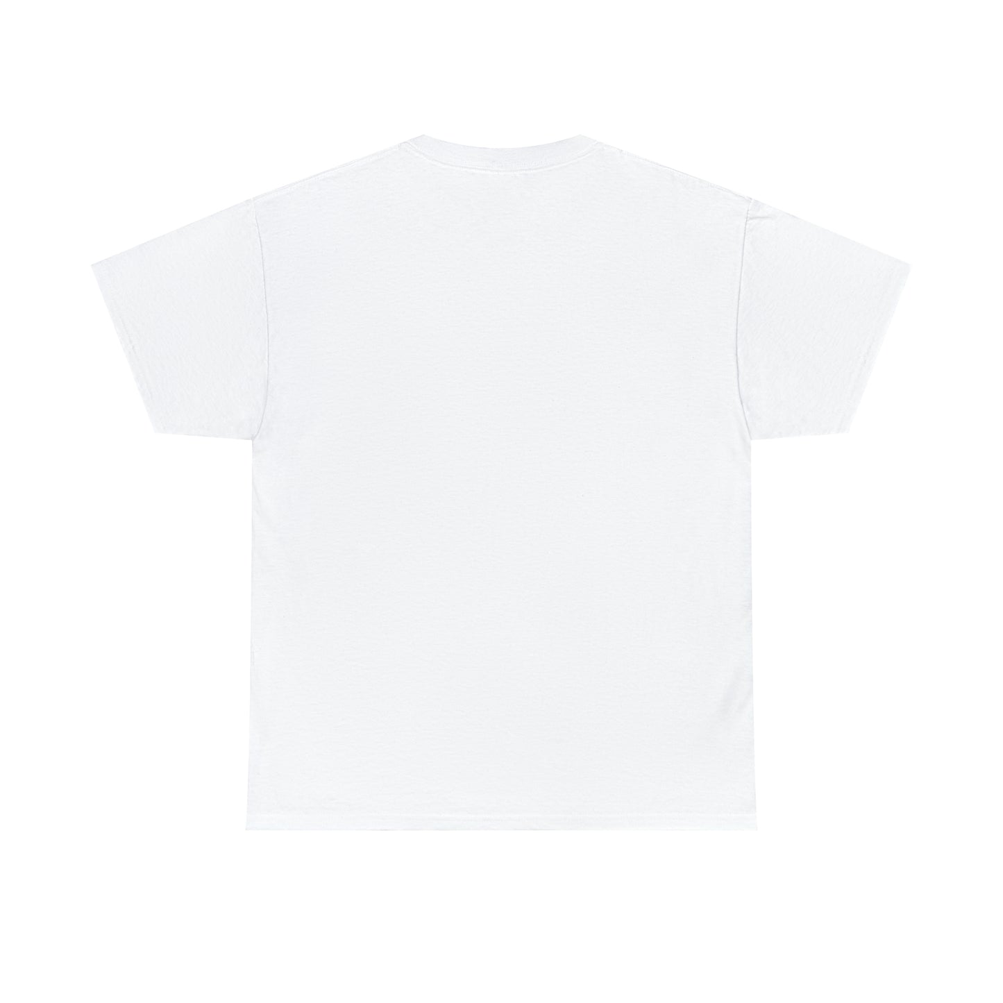 "I Never Dreamed About Success..." Unisex Heavy Cotton Tee