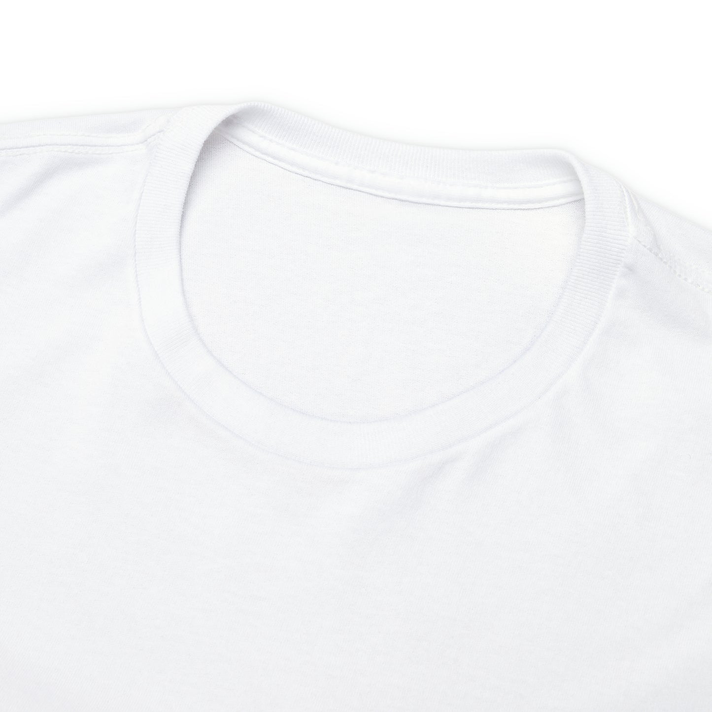 "I Never Dreamed About Success..." Unisex Heavy Cotton Tee
